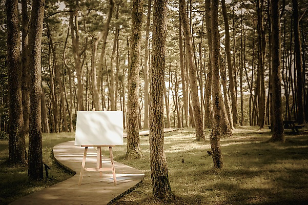 주간 PSD 나무 편집이미지 공원 백그라운드 프레임 사람없음 야외 산책로 디지털합성 이젤 캔버스 디지털아트 이미지편집 자연요소 식물 공공시설 길 미술도구 파일형식