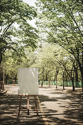 주간 PSD 나무 편집이미지 도로 백그라운드 프레임 사람없음 야외 디지털합성 이젤 캔버스 디지털아트 이미지편집 자연요소 식물 길 교통시설 미술도구 파일형식