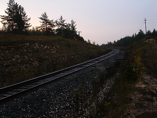 포토 JPG 해외이미지 아침 사람없음 일몰 기차 가을 숲 언덕 상승 해외202004 해외포토 주간 계절 육상교통 컨셉 대중교통 노을 파일형식 이미지허브