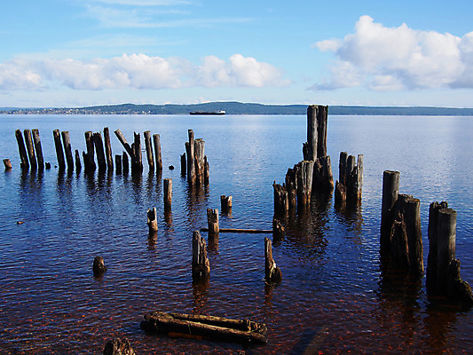 포토 JPG 해외이미지 호수 선 여행 교통시설 자연 하늘 휴식 파노라마 풍경 사람없음 목재 물 여름 파란색 반사 평화 항구 맑음 가을 언덕 포트 헝가리 옛날 해외202004 해외포토 자연요소 나무 계절 컬러 교통 컨셉 재료 날씨 촬영기법 시설 생태계 동유럽 파일형식 이미지허브