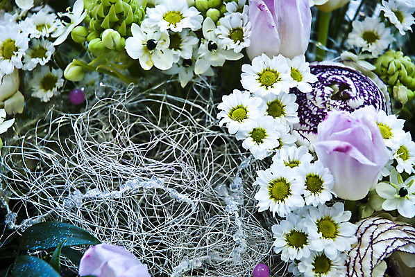 포토 JPG 해외이미지 식물 디자인 계절 꽃잎 꽃 꽃다발 백그라운드 잎 꽃무늬 자연 벽지 발렌타인데이 선물 사람없음 장식 초록색 빛 컬러풀 정원 봄 벚꽃 흰색 축하 신선 신용카드 우아함 닫기 제비꽃 묘사 내추럴 해외202004 해외포토 컬러 컨셉 무늬 모션 데이이벤트 금융 생태계 파일형식 이미지허브