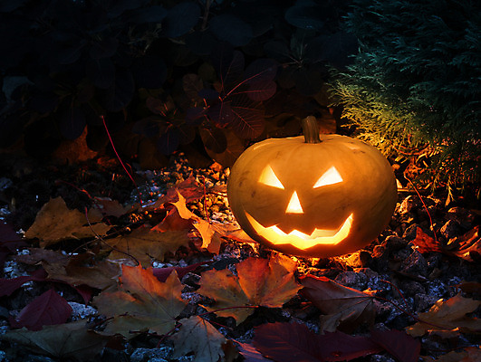 포토 JPG 해외이미지 호박 미소 웃음 사람없음 컬러풀 검은색 어둠 할로윈 가을 등불 10월 호러 해외202004 해외포토 계절 컬러 채소 조명 표정 날짜 공포 파일형식 이미지허브