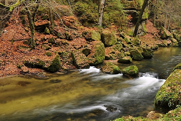 포토 JPG 해외이미지 나무 식물 계절 공원 여행 잎 오렌지 자연 벽지 산 풍경 사람없음 야외 물 강 노란색 평화 환경 침묵 일몰 폭포 젖음 흐름 가을 바위 시간 개울 떨어짐 숲 11월 장면 10월 내추럴 블러 해외202004 해외포토 자연요소 공공시설 컬러 컨셉 과일 노을 소리 돌_바위 날짜 생태계 파일형식 이미지허브