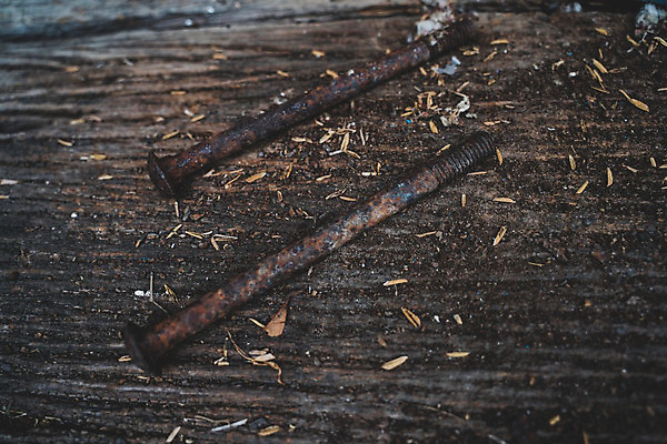 포토 JPG 해외이미지 나무 식물 동물 공원 산업 음식 밭 공 놀이 탁자 조류 벽돌 생물 거리 바닥 주택 서기 앉기 사람없음 목재 초록색 고양이 흙 수확 흰색 공구 표현 잡기 자르기 철 사인 부식 질감 향기 통나무 도끼 청동 갈퀴 땅바닥 석판 양봉장 옛날 해외202004 해외포토 공공시설 컬러 가구 농업 재료 포유류 모션 건물 반려동물 도구 냄새 파일형식 이미지허브