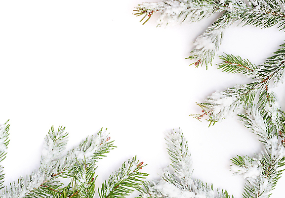 포토 JPG 해외이미지 나무 디자인 계절 행복 백그라운드 크리스마스 겨울 탁자 휴가 새로움 프레임 사람없음 목재 장식 가로 초록색 우주 화환 공백 장식볼 수확 나뭇가지 축하 소나무 신용카드 가장자리 저녁 시원함 연도 활 질감 서리 뼈대 상록수 전나무 구성 옛날 해외202004 해외포토 식물 기념일 꽃 감정 컬러 가구 컨셉 농업 재료 금융 둘레 야간 파일형식 이미지허브