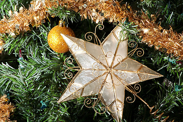 포토 JPG 해외이미지 나무 별 크리스마스 휴가 전등 사람없음 장식 소나무 황금 해외202004 해외포토 자연요소 식물 기념일 조명 파일형식 이미지허브