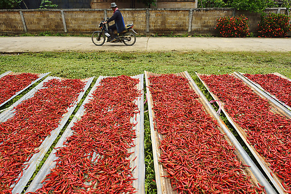 포토 JPG 해외이미지 접시 아시아 음식 백그라운드 농업 다이어트 채소 과일 재료 태국 자연 벽지 고추 건강 요리 동양인 사람없음 빨간색 컬러풀 주방 요리사 중국 추위 튀김 신선 뜨거움 맛 먹기 허브 향신료 오브젝트 유기농 질감 매움 후추 태국음식 해외202004 해외포토 식물 직업 식기 웰빙 나라 산업 컬러 컨셉 모션 인종 생태계 동양음식 향미료 파일형식 이미지허브