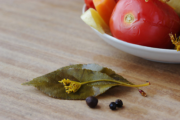 포토 JPG 해외이미지 접시 잡화 계절 음식 조각 백그라운드 토마토 채소 재료 양파 오이 샌드위치 건강 마늘 사람없음 빨간색 초록색 쌓기 당근 흰색 신선 보호 향신료 유기농 피클 슬라이스 소금 후추 통조림 흙더미 내추럴 오이피클 절임 짠맛 채식주의자 핸드메이드 해외202004 해외포토 식기 웰빙 컬러 컨셉 모션 뿌리채소 흙 맛 채식 향미료 파일형식 더미 이미지허브