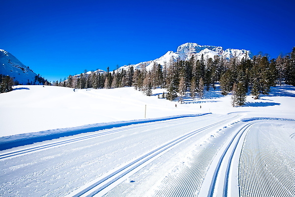 포토 JPG 해외이미지 공원 여행 백그라운드 겨울 자연 휴가 스키 산 풍경 사람없음 이탈리아 하이킹 알프스 남쪽 크로스컨트리 해외202004 해외포토 계절 공공시설 유럽 레저 겨울스포츠 방향 생태계 파일형식 이미지허브