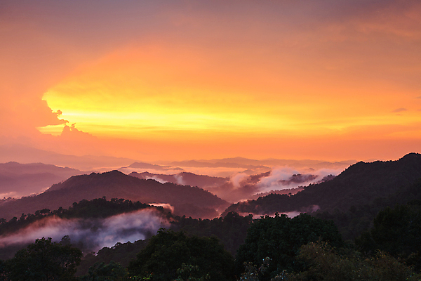 포토 JPG 해외이미지 구름 공원 여행 백그라운드 태국 자연 아침 산 풍경 사람없음 초록색 여름 일출 환경 계곡 어둠 일몰 봄 새벽 안개 시골 연기 숲 큼 언덕 북쪽 넘어짐 뿌연 삼림지대 전국 절정 해외202004 해외포토 주간 자연요소 계절 공공시설 아시아 컬러 모션 날씨 노을 크기 방향 생태계 파일형식 이미지허브