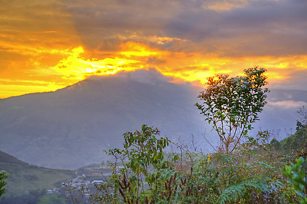 포토 JPG 해외이미지 주간 나무 식물 구름 계절 꽃 여행 백그라운드 오렌지 자연 하늘 산 주택 풍경 사람없음 야외 초록색 여름 파란색 빛 햇빛 계곡 침묵 황혼 일몰 봄 남아메리카 숲 언덕 에콰도르 빛망울 내추럴 산악지대 절정 수평선 해외202004 해외포토 자연요소 컬러 과일 아메리카 건물 태양 노을 소리 생태계 파일형식 이미지허브