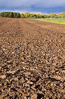 포토 JPG 해외이미지 구름 계절 지구 백그라운드 밭 농업 비즈니스 자연 하늘 풍경 사람없음 야외 농장 갈색 환경 경작 가을 시골 땅 유기농 땅바닥 밭일 수평선 해외202004 해외포토 자연요소 웰빙 산업 컬러 바닥 농사 생태계 파일형식 이미지허브