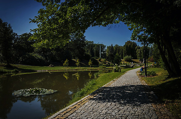 포토 JPG 해외이미지 나무 식물 계절 공원 호수 여행 잎 자연 하늘 휴가 휴식 풍경 사람없음 야외 목재 초록색 물 여름 파란색 강 햇빛 반사 환경 봄 연못 숲 해외202004 해외포토 자연요소 공공시설 컬러 컨셉 재료 태양 생태계 파일형식 이미지허브