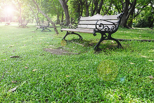 포토 JPG 해외이미지 나무 식물 계절 공원 가구 잎 벤치 의자 자연 휴식 잔디 사람없음 야외 초록색 빛 울타리 태양 갈색 우주 정원 침묵 시골 우아함 오솔길 버리기 오브젝트 장면 일반 구식 스타일 해외202004 해외포토 자연요소 공공시설 길 컬러 생활용품 컨셉 모션 담장 소리 생태계 파일형식 이미지허브