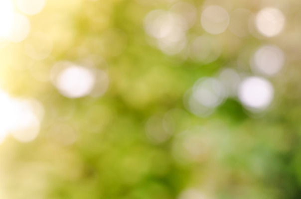 포토 JPG 해외이미지 디자인 계절 백그라운드 잎 패턴 자연 추상 사람없음 초록색 여름 빛 컬러풀 햇빛 봄 소프트포커스 보케 부드러움 효과 해외202004 해외포토 식물 컬러 무늬 촬영기법 태양 감각 생태계 파일형식 이미지허브