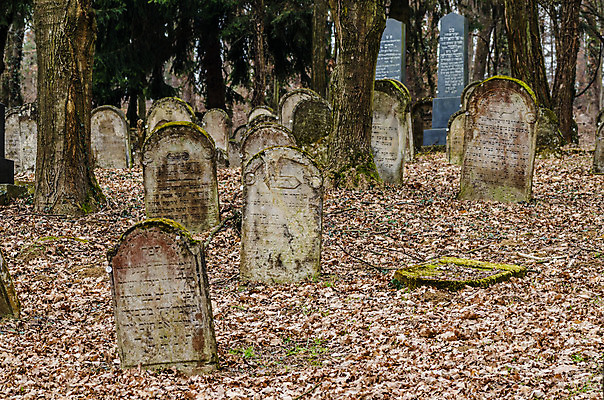포토 JPG 해외이미지 꽃 기독교 종교 지구 백그라운드 십자가 부활절 사람없음 목재 조각상 검은색 성경 바위 기도 죽음 예수 영혼 목사 심볼 애도 신성 땅파기 신앙심 옛날 장례식 오싹 해외202004 해외포토 나무 식물 기념일 컬러 재료 종교용품 조형물 신_종교 성직자 파일형식 이미지허브