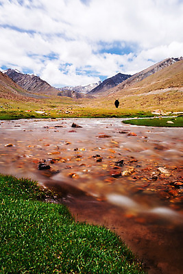 포토 JPG 해외이미지 동물 아시아 여행 자연 하늘 산 풍경 사람없음 물 관광지 강 바위 개울 소 내추럴 해외202004 해외포토 자연요소 나라 포유류 돌_바위 생태계 파일형식 이미지허브