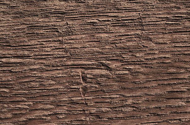 포토 JPG 해외이미지 나무 디자인 선 백그라운드 유니폼 잎 자연 표면 사람없음 목재 장식 여름 햇빛 태양 숫자 웹 나뭇가지 구멍 거친 주름 작업실 널 숲 자르기 유기농 질감 목공예 나무껍질 내추럴 옛날 톱밥 해외202004 해외포토 자연요소 식물 문자 웰빙 옷 계절 인터넷 재료 모션 껍질 가루 공예 생태계 파일형식 이미지허브