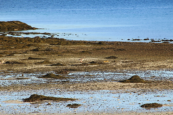 포토 JPG 해외이미지 나무 유럽 겨울 자국 자연 하늘 산 파노라마 노르웨이 풍경 사람없음 목재 파란색 여행객 계곡 등산 트래킹 바위 흰색 정상 숲 언덕 해외202004 해외포토 식물 계절 나라 컬러 재료 레저 촬영기법 사람 돌_바위 생태계 파일형식 이미지허브