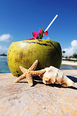 JPG 해외이미지 바다 빨대 사람없음 야외 조개껍데기 열대꽃 코코넛주스 해외포토 포토 꽃 조개 주스 코코넛 파일형식 이미지허브
