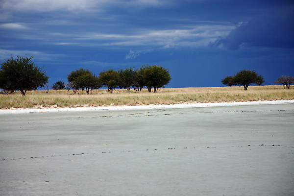 포토 JPG 해외이미지 응시 공원 야생동물 아프리카 자연 하늘 바람 사람없음 물 사막 황무지 위험 큼 사파리 폭풍 내추럴 나미비아 전국 해외202004 해외포토 자연요소 동물 시선 공공시설 나라 컨셉 날씨 크기 생태계 남아프리카 파일형식 이미지허브