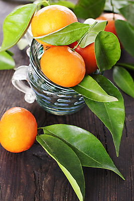 포토 JPG 해외이미지 계절 음식 조각 백그라운드 잎 오렌지 과일 재료 자연 탁자 디저트 귤 건강 사람없음 목재 컵 세로 초록색 컬러풀 노란색 여러개 수확 흰색 신선 그룹 변화 달콤 작음 레몬 상쾌 유기농 날것 라임 내추럴 섞기 숙성 채식주의자 해외202004 해외포토 나무 식물 식기 웰빙 감정 컬러 가구 다수 컨셉 농업 맛 크기 생태계 채식 파일형식 이미지허브