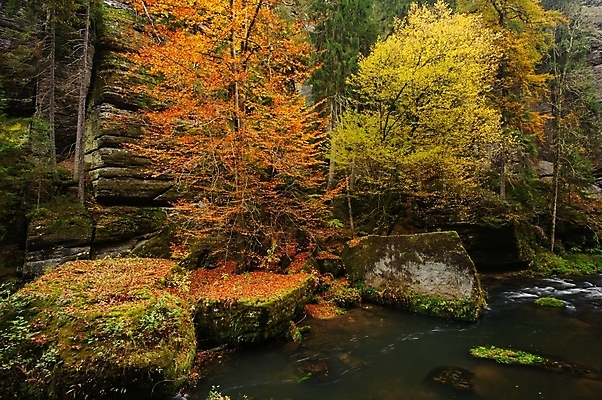 포토 JPG 해외이미지 나무 계절 공원 호수 백그라운드 잎 오렌지 자연 이끼 풍경 사람없음 야외 목재 빨간색 초록색 물 강 컬러풀 노란색 환경 흐름 가을 바위 시골 개울 황금 숲 작음 11월 장면 10월 내추럴 해외202004 해외포토 자연요소 식물 공공시설 컬러 컨셉 과일 재료 돌_바위 날짜 크기 생태계 파일형식 이미지허브