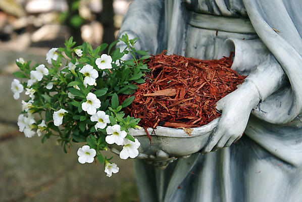 포토 JPG 해외이미지 식물 손 드레스 꽃 꽃무늬 미술 사람없음 야외 초록색 조각상 정원 회색 흰색 해외202004 해외포토 옷 컬러 무늬 문화예술 신체부위 조형물 파일형식 이미지허브