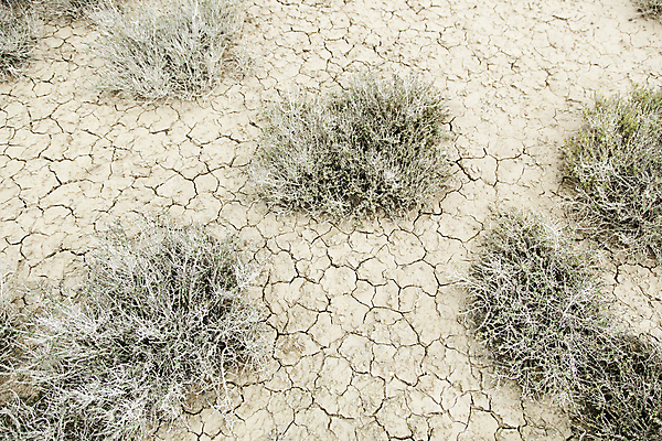 포토 JPG 해외이미지 디자인 도로 지구 모래 백그라운드 패턴 농업 태국 자연 추상 건조 풍경 사람없음 물 여름 강 글로벌 갈색 환경 흙 사막 죽음 뜨거움 균열 땅 묘사 질감 먼지 점토 지역 진흙 가뭄 다리찢기 내추럴 깨짐 나미비아 땅바닥 재앙 지질학 해외202004 해외포토 자연요소 계절 교육 산업 아시아 길 컬러 컨셉 무늬 교통시설 모션 날씨 바닥 생태계 남아프리카 파일형식 이미지허브