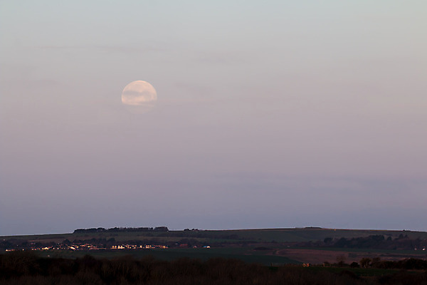 포토 JPG 해외이미지 나무 구름 자연 아침 사람없음 빛 평화 침묵 새벽 달 시골 서식스 해외202004 해외포토 주간 자연요소 식물 컨셉 소리 생태계 파일형식 이미지허브
