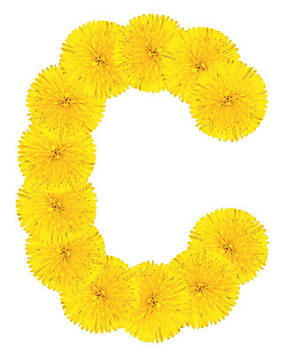 포토 JPG 해외이미지 식물 디자인 알파벳 교육 꽃잎 꽃 꽃다발 꽃무늬 오렌지 텍스트 자연 사람없음 컬러풀 숫자 노란색 머리 정원 봄 벚꽃 개화 메시지 민들레 편지 다발 심볼 향수 사인 냄새 최초 내추럴 고립 초보 많음 해외202004 해외포토 문자 영어 계절 컬러 컨셉 무늬 과일 신체부위 화장품 생태계 파일형식 이미지허브