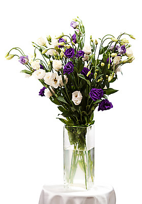 포토 JPG 해외이미지 식물 계절 꽃잎 꽃 줄기 꽃다발 백그라운드 잎 자연 유리 선물 사랑 사람없음 장식 세로 초록색 물 꽃병 보라색 봄 활발 벚꽃 흰색 신선 투명 그룹 우아함 닫기 다발 순수 고립 꽃수술 많음 해외202004 해외포토 자연요소 감정 컬러 컨셉 모션 재질 생태계 파일형식 이미지허브