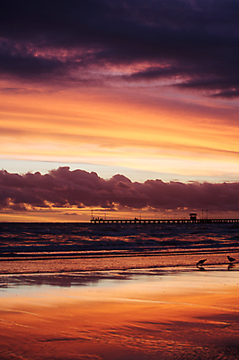 포토 JPG 해외이미지 구름 실루엣 호수 모래 파도 바다 여행 백그라운드 요트 오렌지 자연 조류 하늘 낚시 휴가 휴식 항해 풍경 사람없음 빨간색 물 여름 빛 컬러풀 햇빛 태양 숫자 반사 노란색 평화 일출 항구 보라색 침묵 일몰 새벽 만 보트 서핑 황금 야간 저녁 오두막 크루즈 장면 낚시꾼 태평양 포트 마법 네비게이션 이국적 수평선 해외202004 해외포토 자연요소 동물 문자 계절 컬러 컨셉 배_교통 과일 교통시설 레저 촬영기법 노을 소리 수상스포츠 생태계 파일형식 이미지허브