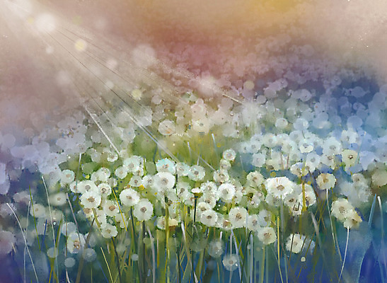 JPG 해외이미지 꽃 꽃밭 일러스트 사람없음 그림 손그림 민들레홀씨 유화 해외202004 해외일러스트 식물 미술 민들레 파일형식 이미지허브