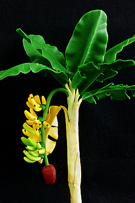 포토 JPG 해외이미지 모양 나무 아시아 잎 자연 검은배경 추상 주택 바나나 실내 미술 동양인 취미 사람없음 장식 초록색 노란색 정원 일본 놀람 상품 다발 즐거움 베트남 장면 점토 수공예 미니 핸드메이드 해외202004 해외포토 식물 감정 나라 컬러 백그라운드 무늬 과일 문화예술 표정 인종 내부 건물 검은색 동남아시아 공예 생태계 파일형식 이미지허브