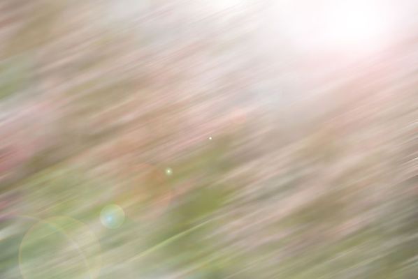 포토 JPG 해외이미지 모양 백그라운드 컨셉 패턴 모션 벽지 표면 추상 사람없음 아웃포커스 장식 초록색 여름 빛 반짝임 컬러풀 태양 노란색 우주 맑음 웹 봄 줄무늬 활발 점 매끈함 질감 정사각형 부드러움 마법 강렬 광 블러 스펙트럼 엘리먼트 여의주 특별함 스타일 효과 해외202004 해외포토 자연요소 도형 계절 컬러 무늬 인터넷 날씨 촬영기법 감각 파일형식 이미지허브