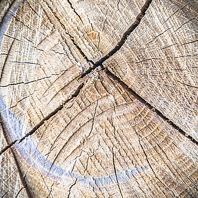 포토 JPG 해외이미지 나무 디자인 외관 벽 백그라운드 패턴 자연 탁자 표면 추상 바닥 프레임 건조 사람없음 목재 장식 갈색 어둠 수확 판넬 얼룩 거친 널 낟알 타일 책상 질감 복고 목공예 잡동사니 내추럴 구식 그런지 수목 옛날 파케트 해외202004 해외포토 식물 컬러 가구 무늬 농업 재료 공예 생태계 파일형식 이미지허브