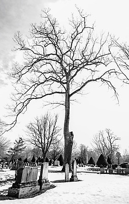 포토 JPG 해외이미지 겨울 잉글랜드 새로움 사람없음 머리 죽음 속도 폐허 폭풍 땅바닥 옛날 장례식 해외202004 해외포토 계절 컨셉 날씨 영국 바닥 신체부위 파일형식 이미지허브