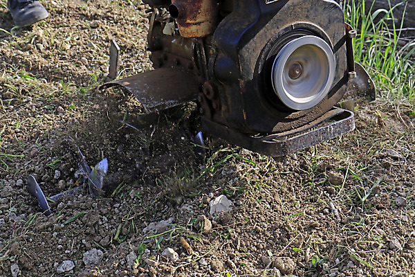 포토 JPG 해외이미지 나무 식물 계절 지구 밭 농업 자연 사람없음 농장 농경지 환경 기계 흙 장비 시골 업무 작업 농부 땅 만취 올리브 먼지 트랙터 엔진 땅바닥 밭일 쟁기 제철소 해외202004 해외포토 직업 열매 산업 바닥 농기계 생태계 특수차량 술취함 파일형식 이미지허브