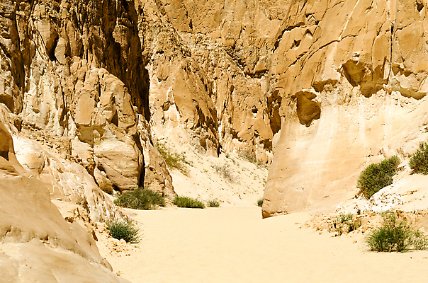 포토 JPG 해외이미지 식물 계절 꽃 여행 백그라운드 잎 오렌지 자연 하늘 산 따뜻함 이집트 풍경 사람없음 초록색 여름 골짜기 사막 바위 뜨거움 암초 이국적 해외202004 해외포토 컬러 과일 아프리카 돌_바위 생태계 파일형식 이미지허브