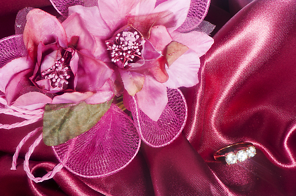 포토 JPG 해외이미지 전통 기념일 꽃 감정 꽃다발 결혼 관계 결혼식 휴가 발렌타인데이 선물 사랑 이벤트 사람없음 선물상자 유행 신혼여행 축하 반지 황금 보석 심볼 열정 다이아몬드 약혼 해외202004 해외포토 식물 컨셉 장신구 데이이벤트 상자 광석 약속 파일형식 이미지허브