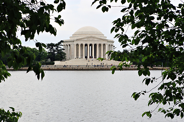 포토 JPG 해외이미지 나무 외관 문화 여행 잎 건축양식 휴가 국립공원 사람없음 건물 가로 파란색 여행객 계단 미국 새벽 기둥 역사 쇼핑몰 대리석 방문 대야 기념물 일반 단계 애국심 천연기념물 대통령 워싱턴 인기 정치 해일 헌법 해외202004 해외포토 자연요소 식물 건축물 공원 건축 컬러 북아메리카 재료 사람 자연재해 법 파일형식 이미지허브
