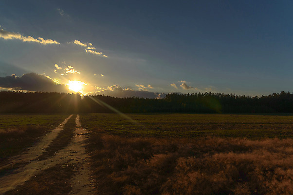 포토 JPG 해외이미지 나무 식물 구름 계절 공원 실루엣 여행 백그라운드 밭 오렌지 자연 하늘 휴가 따뜻함 그림자 풍경 사람없음 야외 빨간색 초록색 여름 파란색 빛 햇빛 태양 노란색 평화 일출 환경 침묵 황혼 일몰 새벽 황금 저녁 숲 장면 내추럴 수평선 해외202004 해외포토 자연요소 공공시설 컬러 컨셉 농업 과일 촬영기법 노을 소리 야간 생태계 파일형식 이미지허브