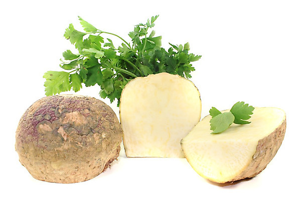 포토 JPG 해외이미지 음식 백그라운드 채소 건강 사람없음 흰색 자르기 날것 뿌리 고립 정물화 해외202004 해외포토 컬러 모션 그림 파일형식 이미지허브