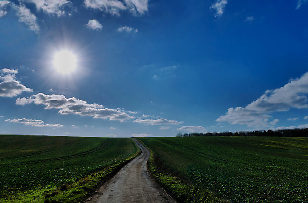 포토 JPG 해외이미지 도로 길 하늘 영국 잉글랜드 사람없음 초록색 파란색 햇빛 태양 시골 좁은 해외202004 해외포토 자연요소 유럽 컬러 교통시설 파일형식 이미지허브