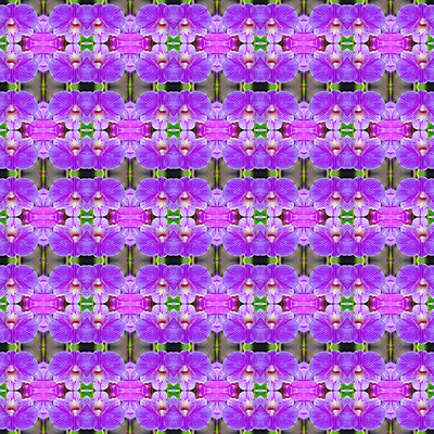 포토 JPG 해외이미지 식물 디자인 꽃잎 꽃 줄기 꽃다발 백그라운드 잎 꽃무늬 패턴 자연 벽지 추상 선물 사람없음 장식 초록색 컬러풀 보라색 벚꽃 나뭇가지 신선 난초 우아함 제비꽃 즐거움 호접란 내추럴 해외202004 해외포토 나무 감정 컬러 컨셉 무늬 생태계 파일형식 이미지허브