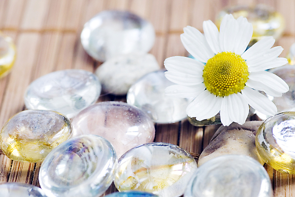 포토 JPG 해외이미지 꽃 얼굴 컨셉 신체 건강 사람없음 치료 스파 침묵 화장품 욕실 조약돌 흰색 항아리 사발 우아함 매끈함 컨테이너 허브 묘사 위생관리 캐모마일 해외202004 해외포토 식물 산업 컬러 의학 관리 신체부위 뷰티 소리 돌_바위 도자기 감각 사기그릇 파일형식 이미지허브