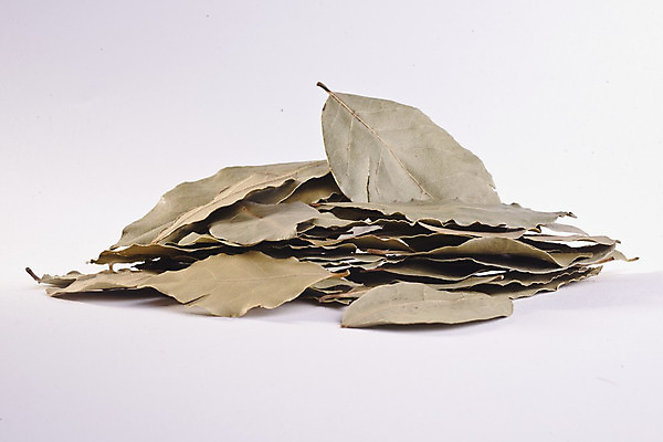 포토 JPG 해외이미지 스튜디오촬영 도마 씨앗 사람없음 목재 세로 금속 숟가락 소나무 양념 허브 향신료 국자 회향 해외202004 해외포토 나무 식물 재료 재질 주방용품 수저 실내 향미료 파일형식 이미지허브