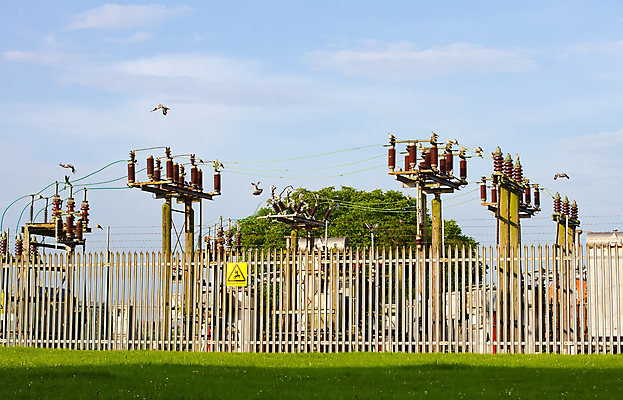 포토 JPG 해외이미지 조류 사람없음 울타리 힘 발전기 죽음 위험 볼트 스파이크 전압 해외202004 해외포토 동물 컨셉 담장 발전소 공구 파일형식 이미지허브