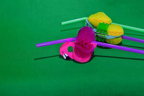 포토 JPG 해외이미지 식물 꽃잎 꽃 음료 어린이 분홍색 잎 꽃무늬 오렌지 과일 자연 사탕 사람없음 장식 빨간색 초록색 장미 정원 봄 벚꽃 흰색 나뭇가지 축하 칵테일 난초 사과 플라밍고 레몬 튜브 고립 해외202004 해외포토 나무 계절 컬러 컨셉 무늬 조류 디저트 주류 사람 생태계 파일형식 이미지허브